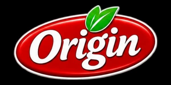 Origin
